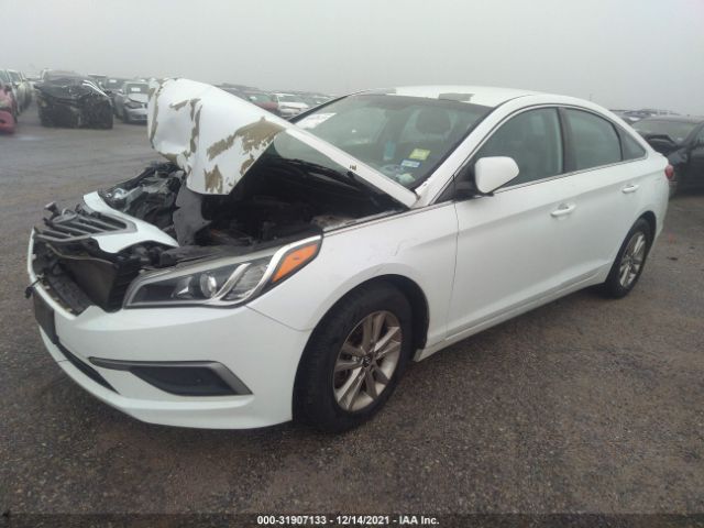 Photo 1 VIN: 5NPE24AF2GH417420 - HYUNDAI SONATA 