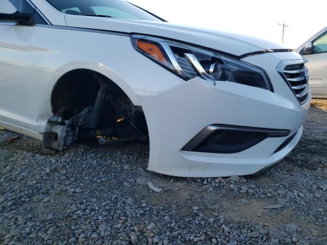 Photo 8 VIN: 5NPE24AF2GH417627 - HYUNDAI SONATA SE 