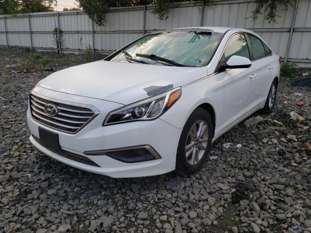 Photo 1 VIN: 5NPE24AF2GH427378 - HYUNDAI SONATA SE 