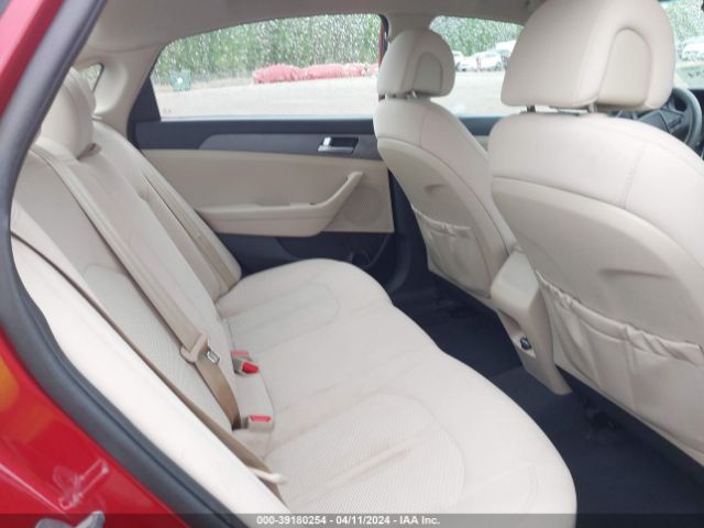 Photo 7 VIN: 5NPE24AF2HH442013 - HYUNDAI SONATA 