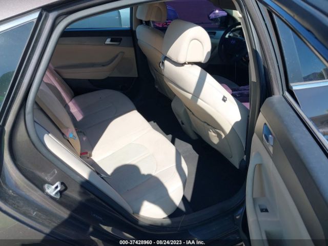 Photo 7 VIN: 5NPE24AF2HH444909 - HYUNDAI SONATA 