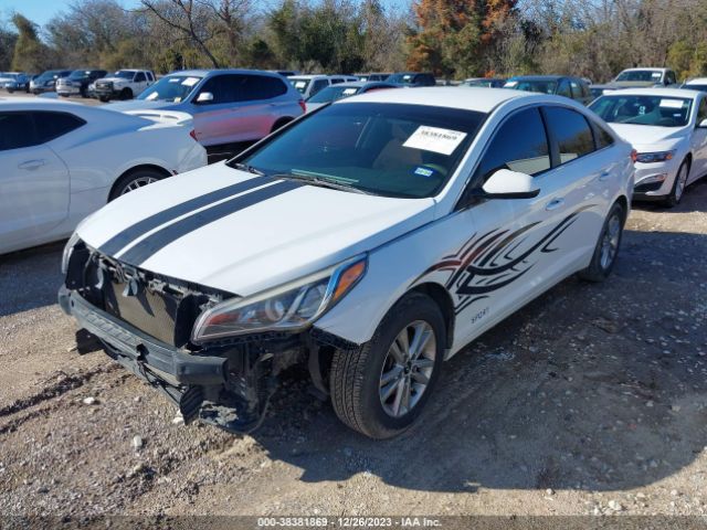 Photo 1 VIN: 5NPE24AF2HH451956 - HYUNDAI SONATA 