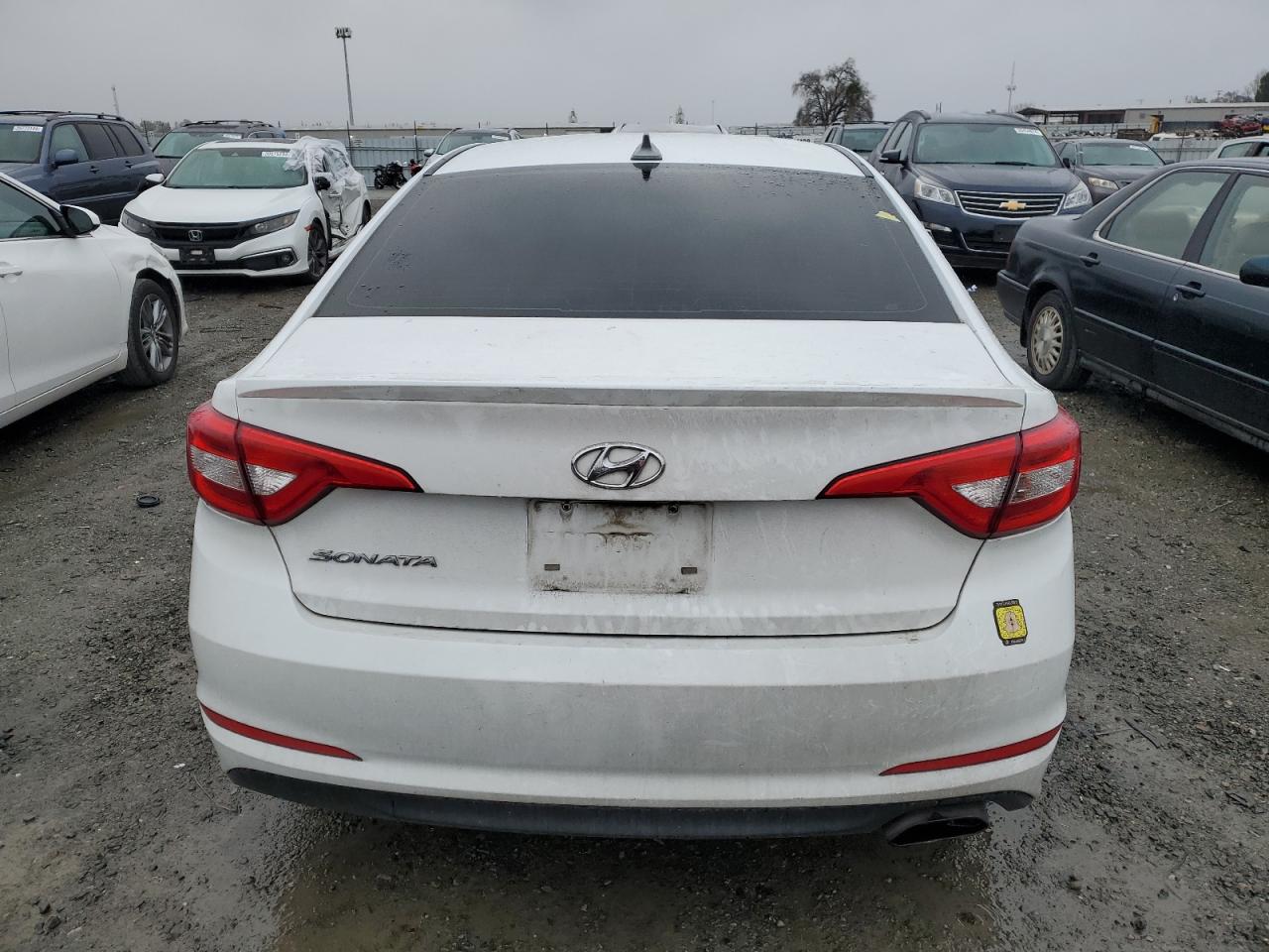 Photo 5 VIN: 5NPE24AF2HH460351 - HYUNDAI SONATA 