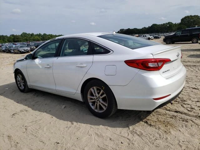 Photo 1 VIN: 5NPE24AF2HH491177 - HYUNDAI SONATA SE 