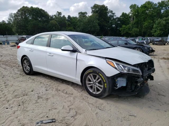 Photo 3 VIN: 5NPE24AF2HH491177 - HYUNDAI SONATA SE 