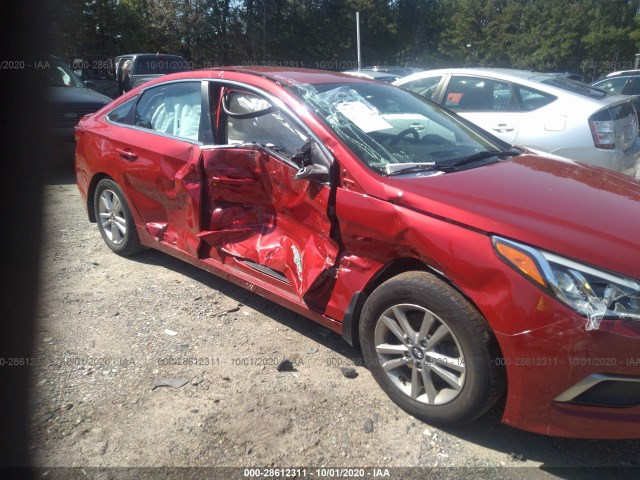 Photo 5 VIN: 5NPE24AF2HH500217 - HYUNDAI SONATA 