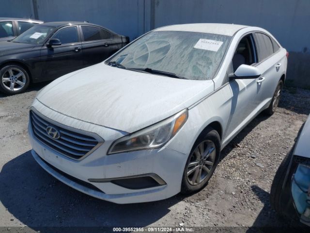 Photo 1 VIN: 5NPE24AF2HH507426 - HYUNDAI SONATA 