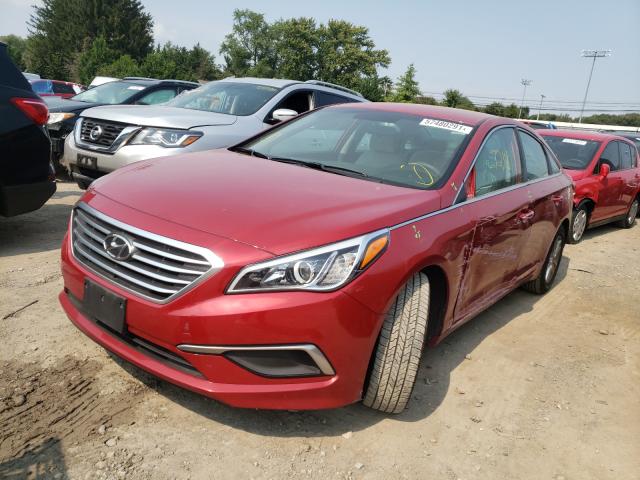 Photo 1 VIN: 5NPE24AF2HH515736 - HYUNDAI SONATA SE 