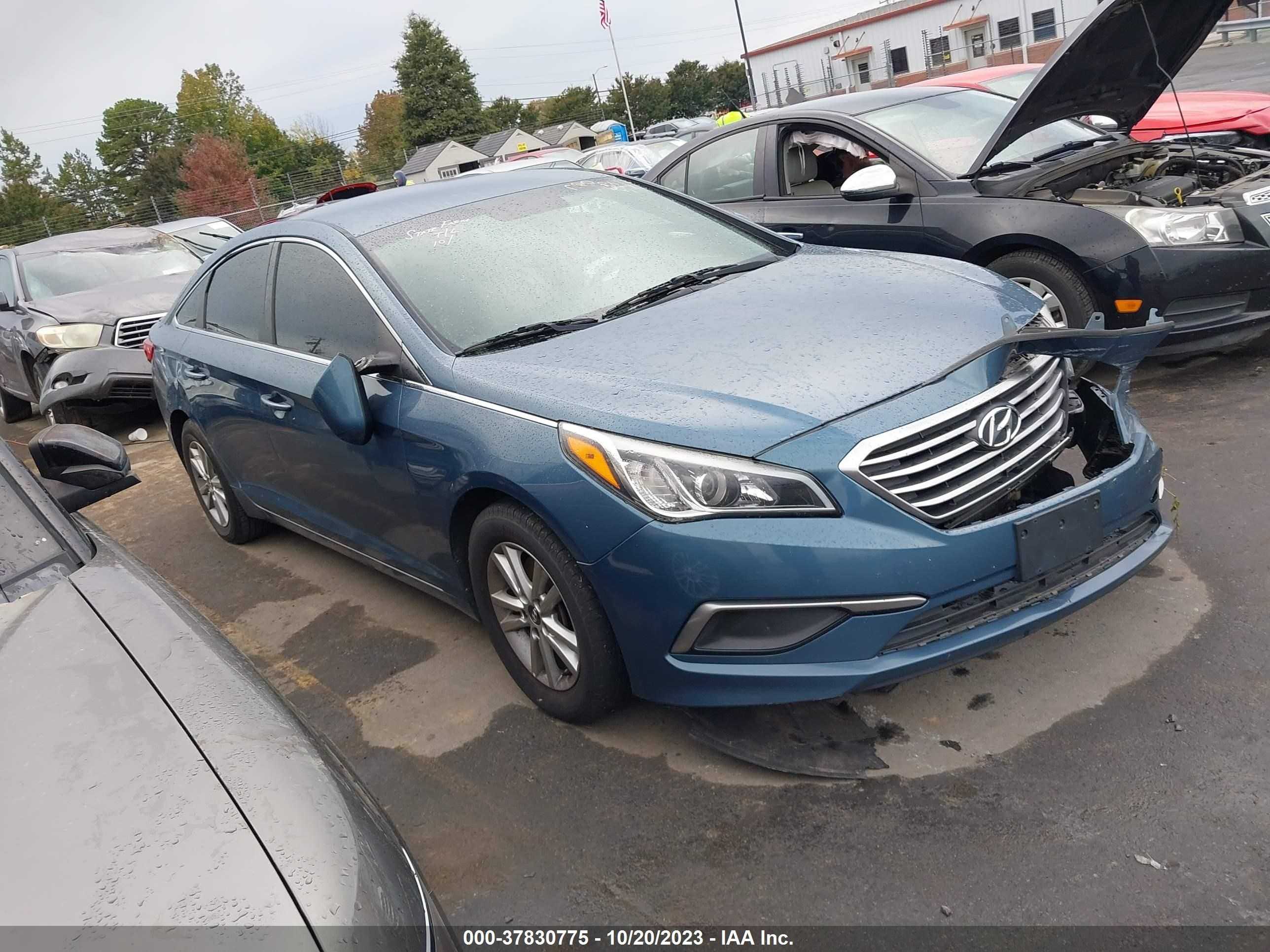 Photo 1 VIN: 5NPE24AF2HH517762 - HYUNDAI SONATA 