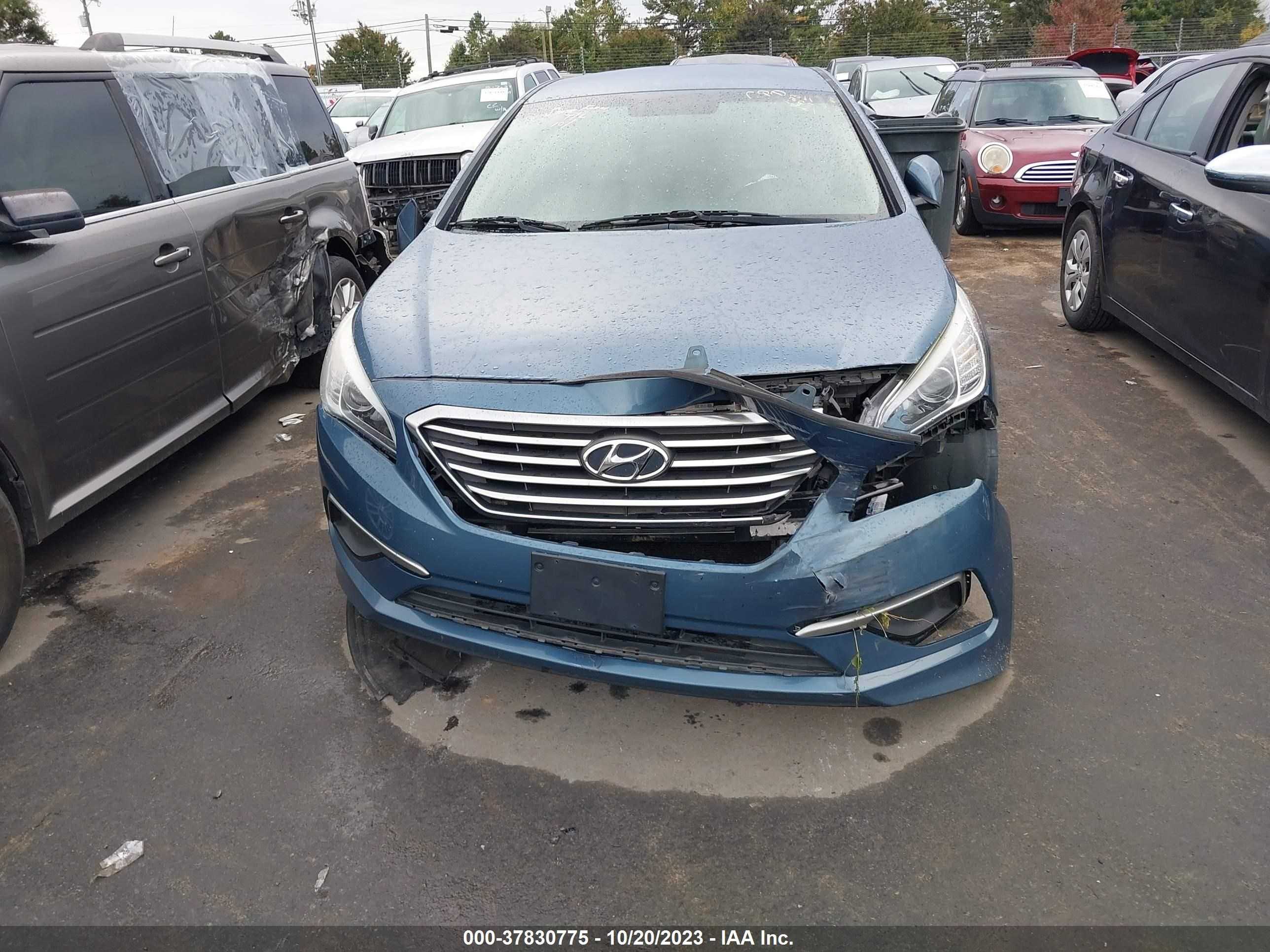 Photo 13 VIN: 5NPE24AF2HH517762 - HYUNDAI SONATA 