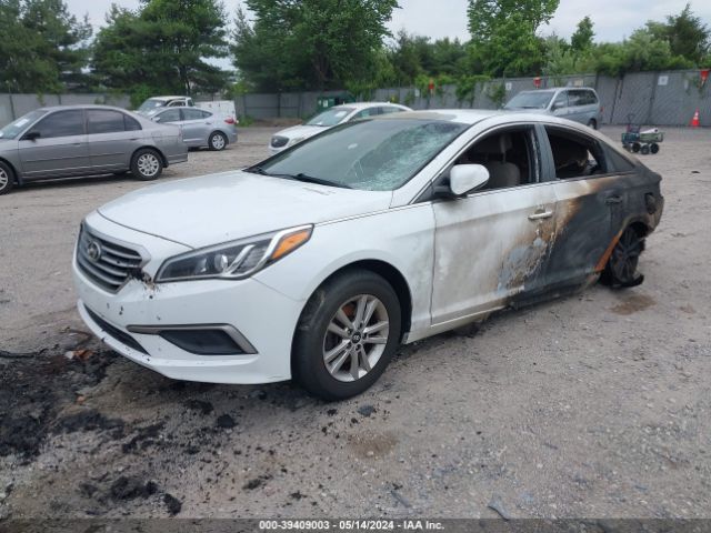 Photo 1 VIN: 5NPE24AF2HH531323 - HYUNDAI SONATA 