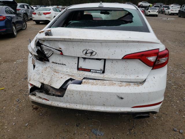 Photo 8 VIN: 5NPE24AF2HH533864 - HYUNDAI SONATA SE 