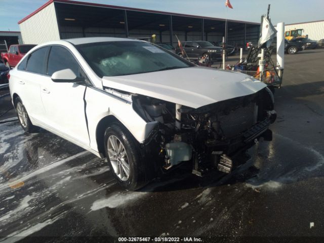 Photo 5 VIN: 5NPE24AF2HH538742 - HYUNDAI SONATA 