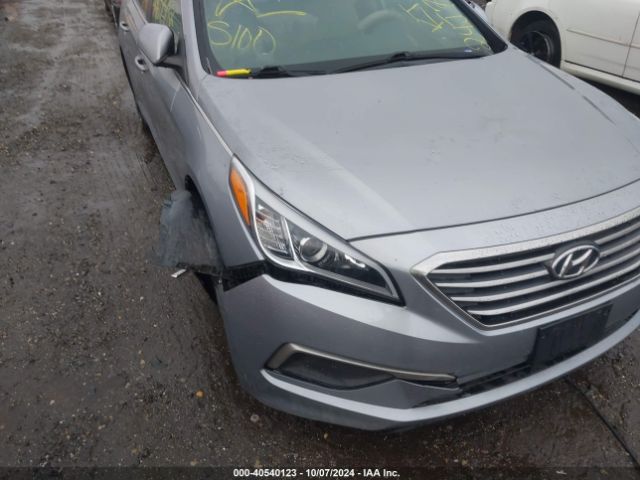 Photo 5 VIN: 5NPE24AF2HH548767 - HYUNDAI SONATA 