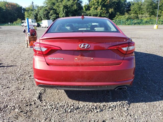 Photo 5 VIN: 5NPE24AF2HH549899 - HYUNDAI SONATA SE 