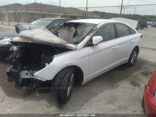 Photo 1 VIN: 5NPE24AF2HH557338 - HYUNDAI SONATA 