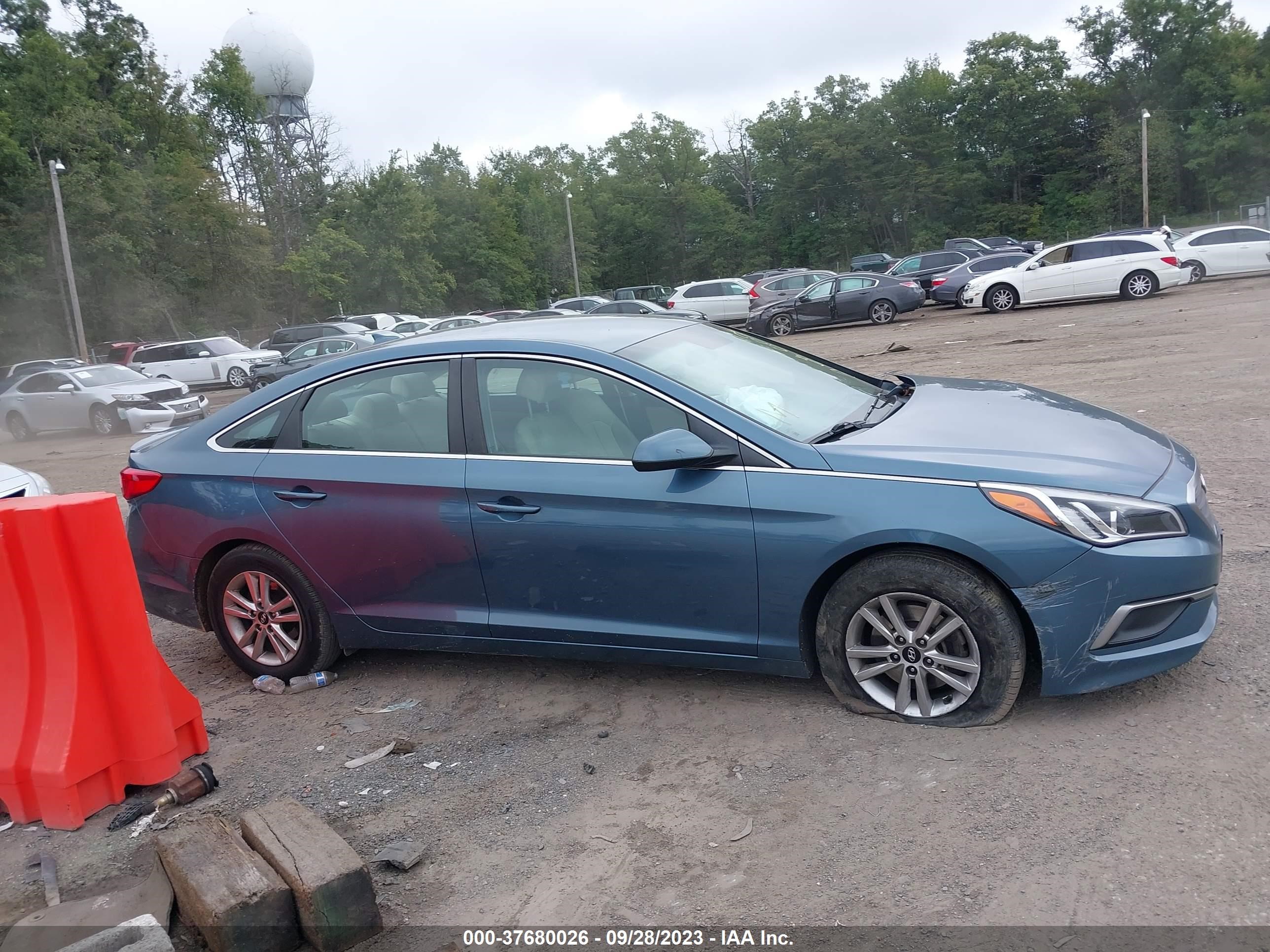 Photo 12 VIN: 5NPE24AF2HH565178 - HYUNDAI SONATA 