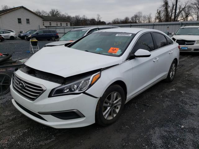 Photo 1 VIN: 5NPE24AF2HH566962 - HYUNDAI SONATA SE 