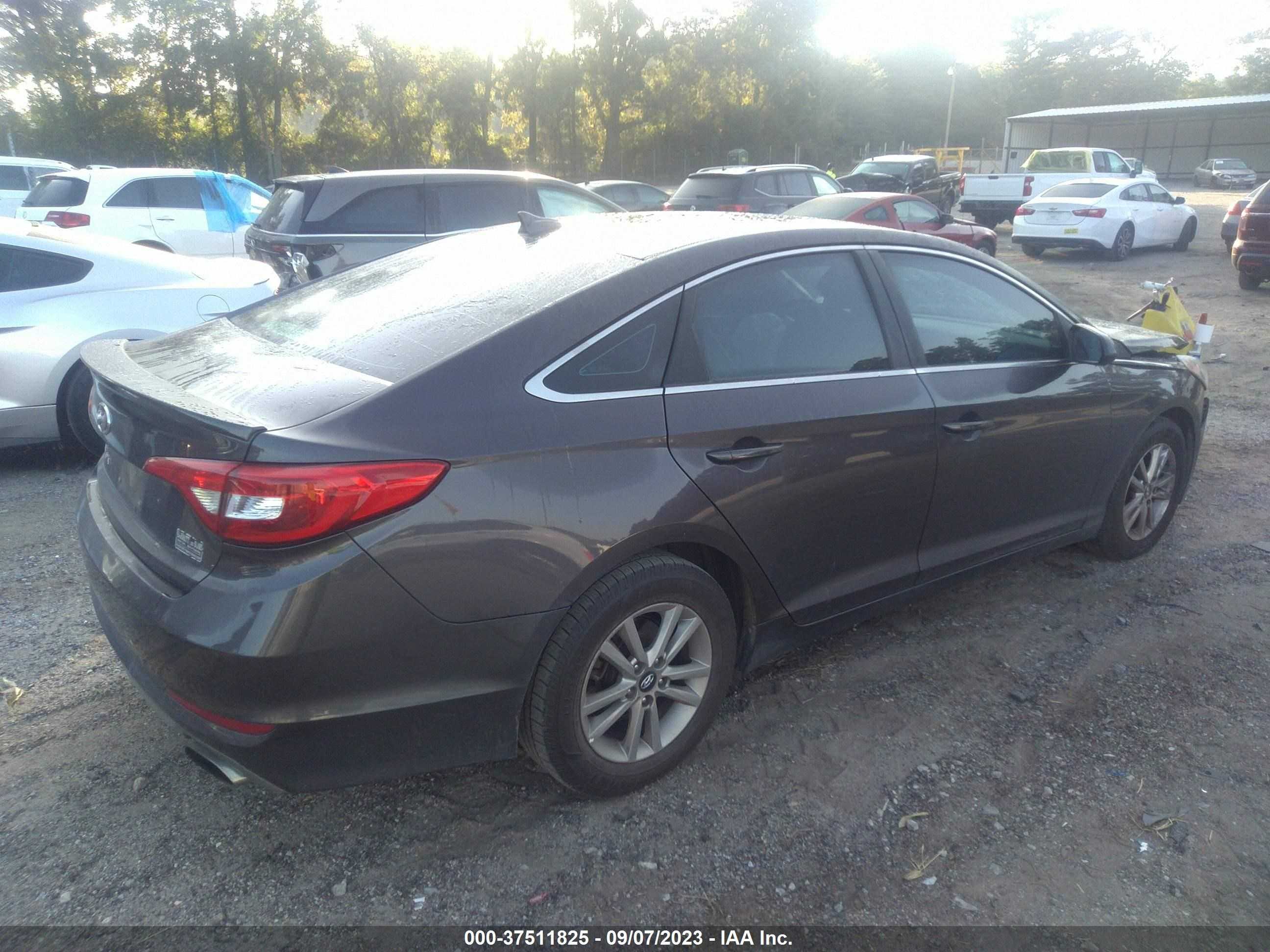 Photo 3 VIN: 5NPE24AF2HH570879 - HYUNDAI SONATA 