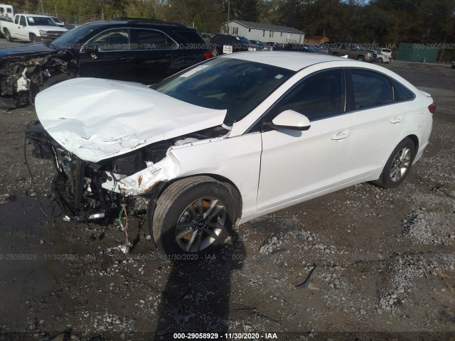 Photo 1 VIN: 5NPE24AF2HH582093 - HYUNDAI SONATA 