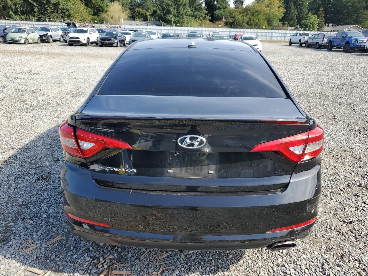 Photo 5 VIN: 5NPE24AF2HH590453 - HYUNDAI SONATA 