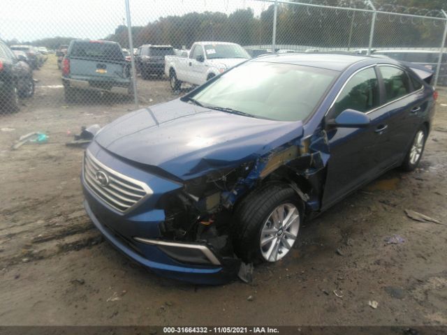 Photo 5 VIN: 5NPE24AF2HH590839 - HYUNDAI SONATA 