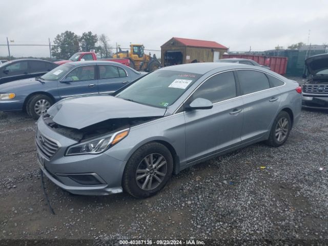 Photo 1 VIN: 5NPE24AF2HH593837 - HYUNDAI SONATA 