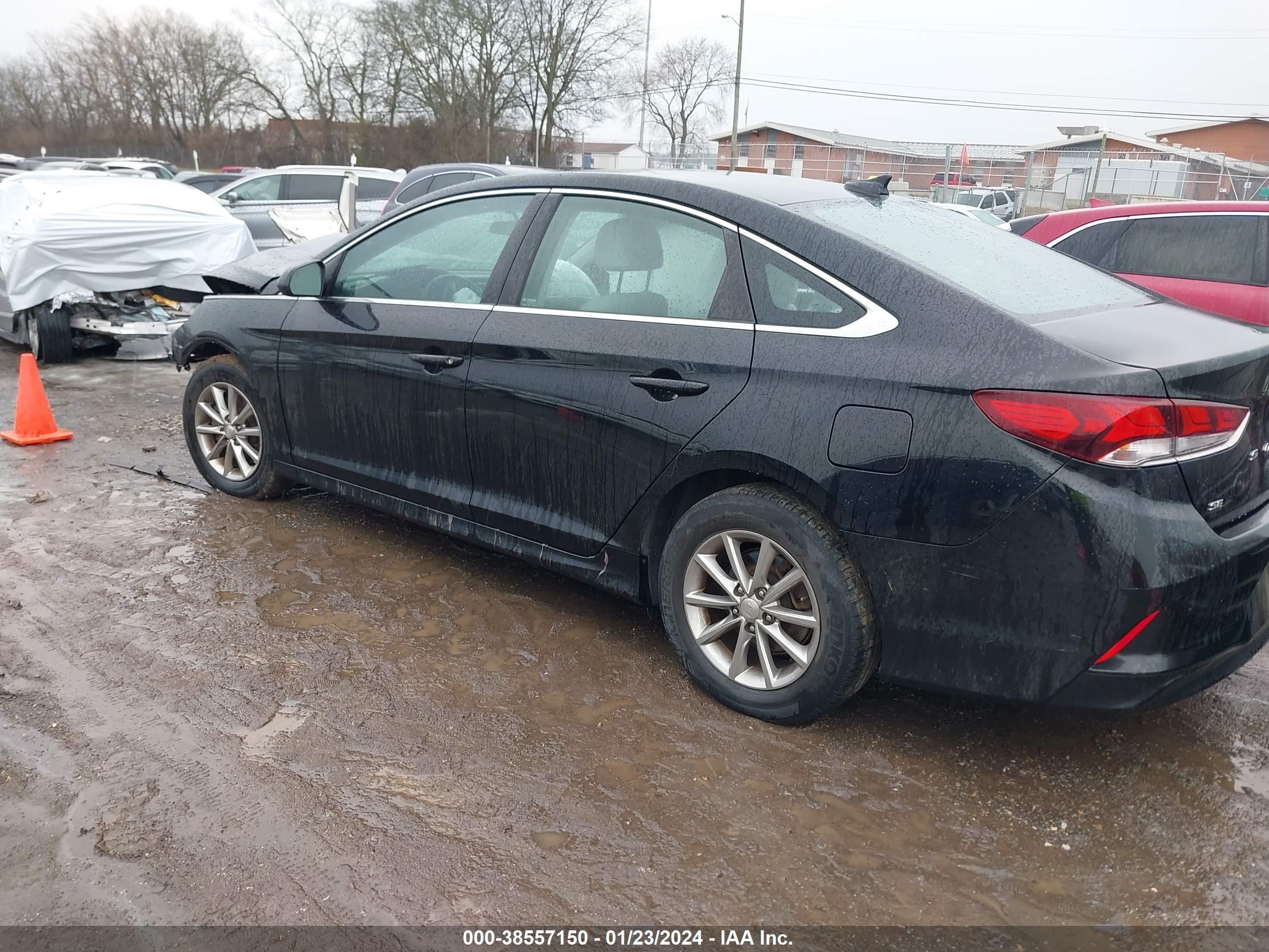 Photo 12 VIN: 5NPE24AF2JH610044 - HYUNDAI SONATA 