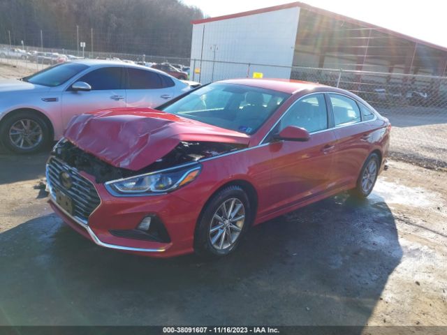 Photo 1 VIN: 5NPE24AF2JH700147 - HYUNDAI SONATA 