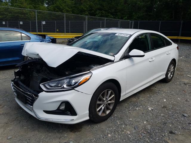 Photo 1 VIN: 5NPE24AF2JH727512 - HYUNDAI SONATA SE 