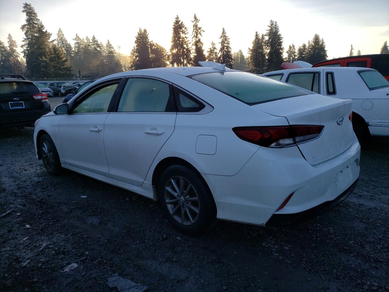 Photo 1 VIN: 5NPE24AF2KH736258 - HYUNDAI SONATA 