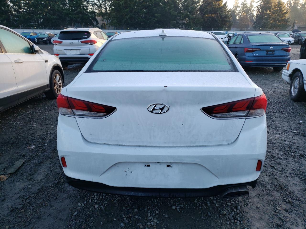 Photo 5 VIN: 5NPE24AF2KH736258 - HYUNDAI SONATA 