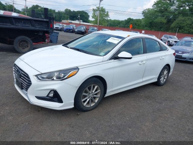 Photo 1 VIN: 5NPE24AF2KH737183 - HYUNDAI SONATA 