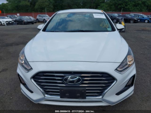 Photo 5 VIN: 5NPE24AF2KH737183 - HYUNDAI SONATA 