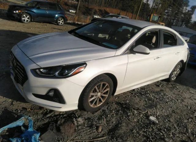 Photo 1 VIN: 5NPE24AF2KH768160 - HYUNDAI SONATA 