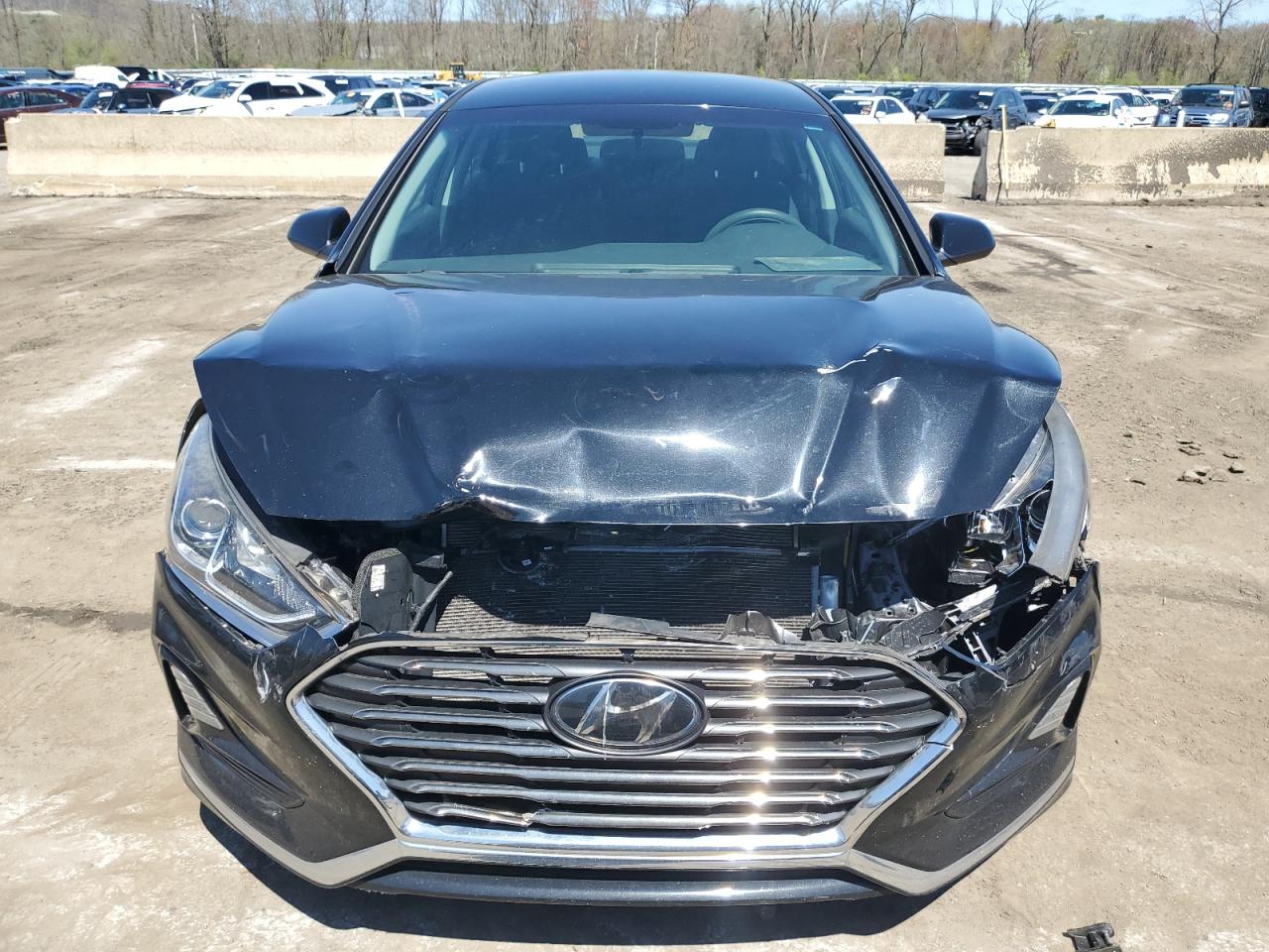 Photo 4 VIN: 5NPE24AF2KH771169 - HYUNDAI SONATA 