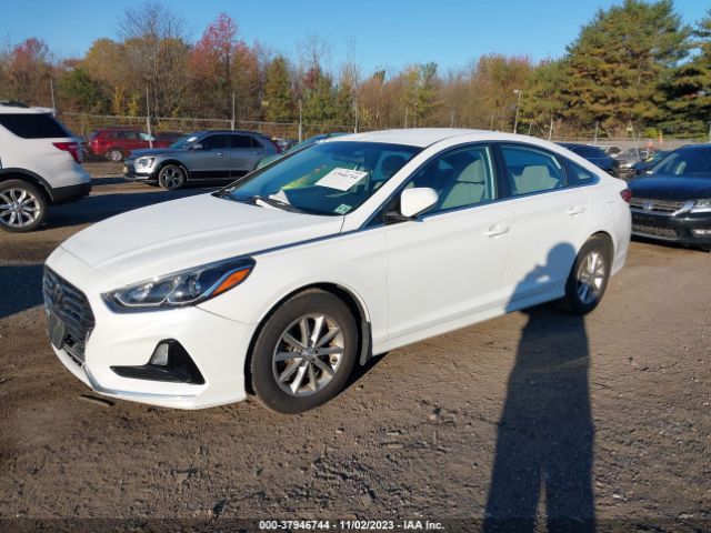 Photo 1 VIN: 5NPE24AF2KH777697 - HYUNDAI SONATA 