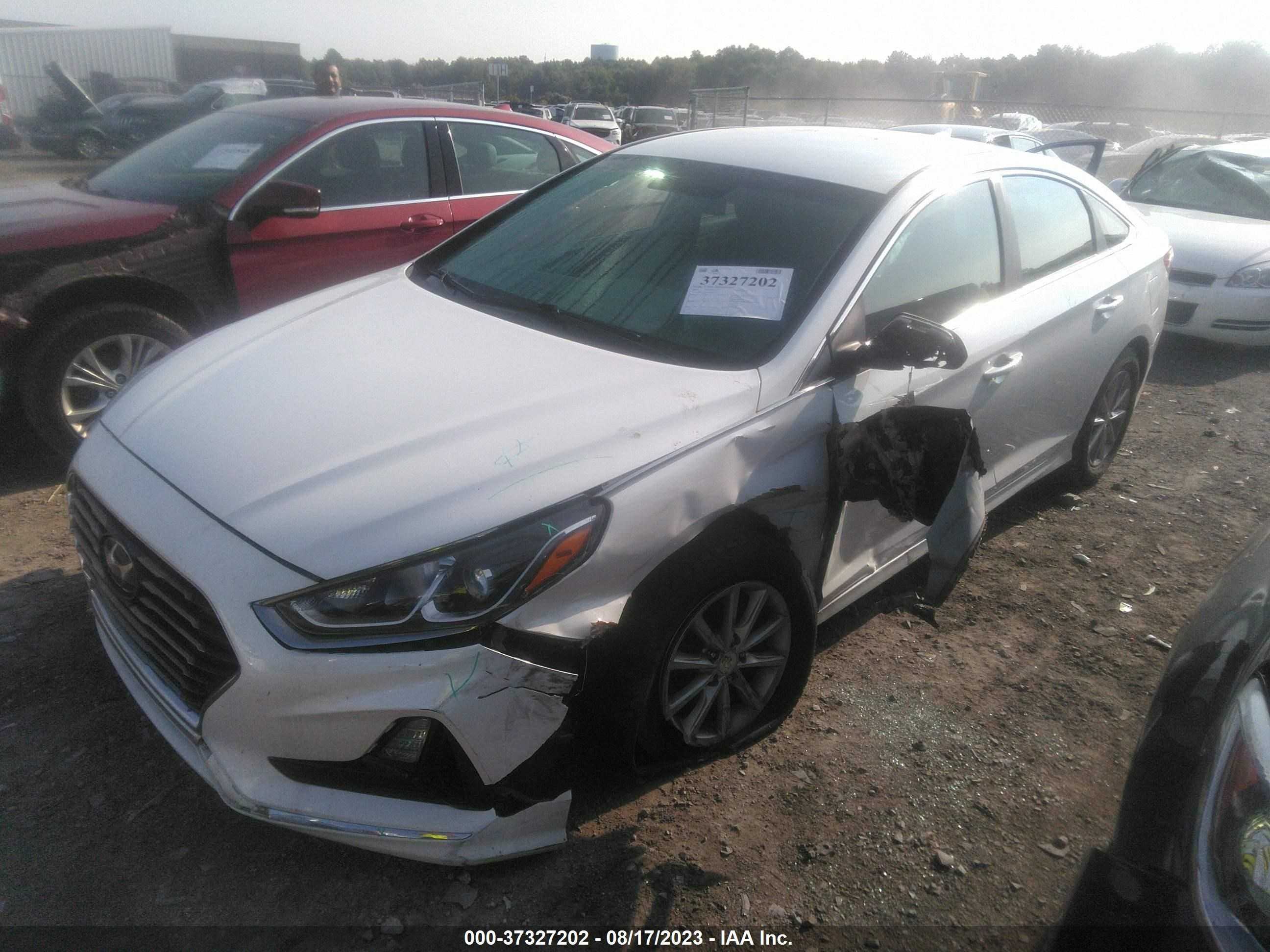 Photo 1 VIN: 5NPE24AF2KH787355 - HYUNDAI SONATA 