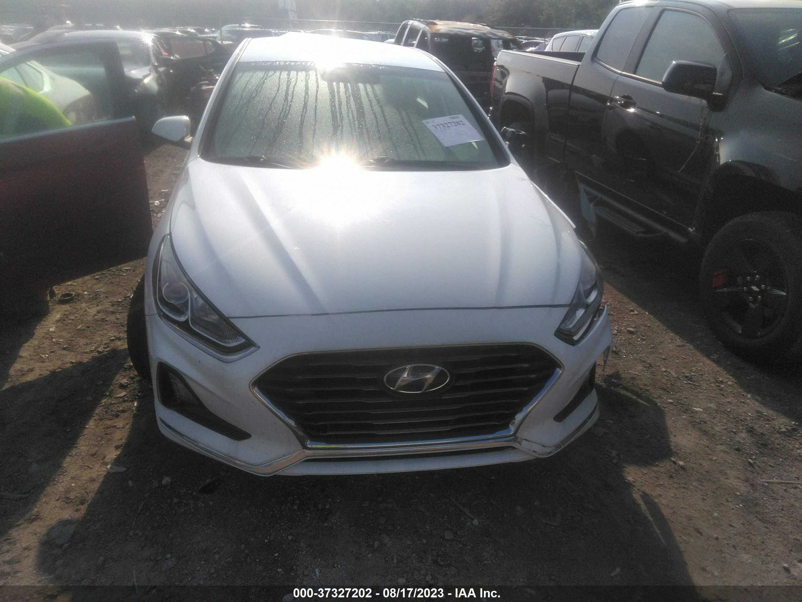 Photo 11 VIN: 5NPE24AF2KH787355 - HYUNDAI SONATA 