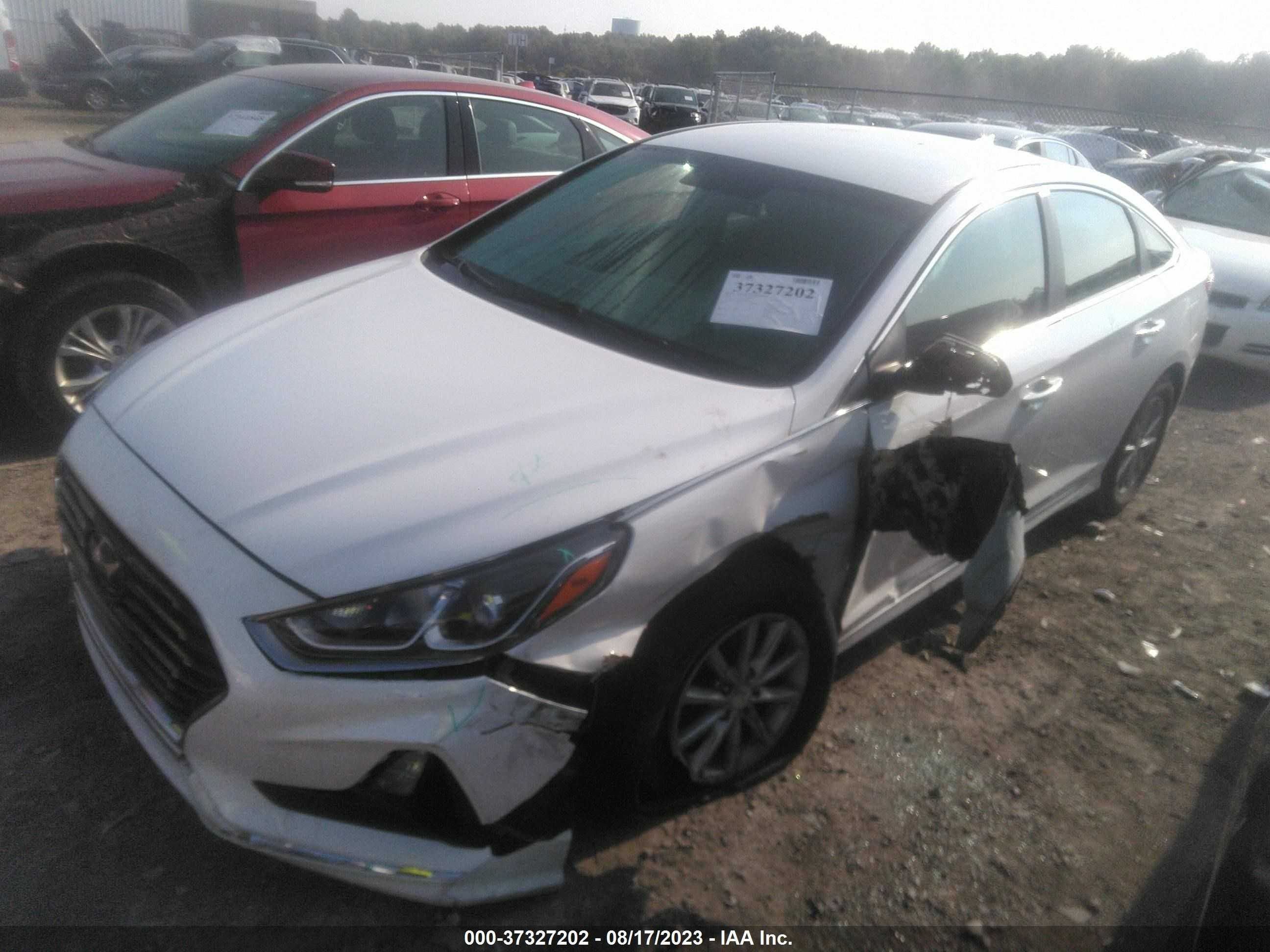 Photo 13 VIN: 5NPE24AF2KH787355 - HYUNDAI SONATA 