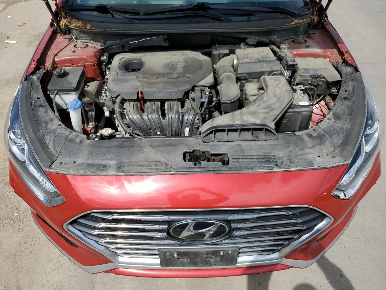 Photo 10 VIN: 5NPE24AF2KH787940 - HYUNDAI SONATA 