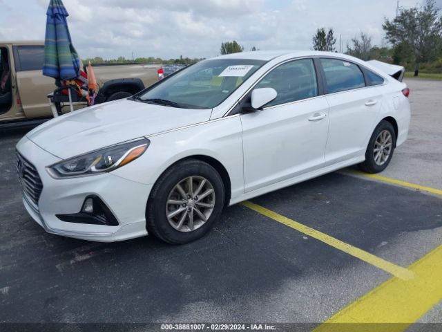 Photo 1 VIN: 5NPE24AF2KH797626 - HYUNDAI SONATA 