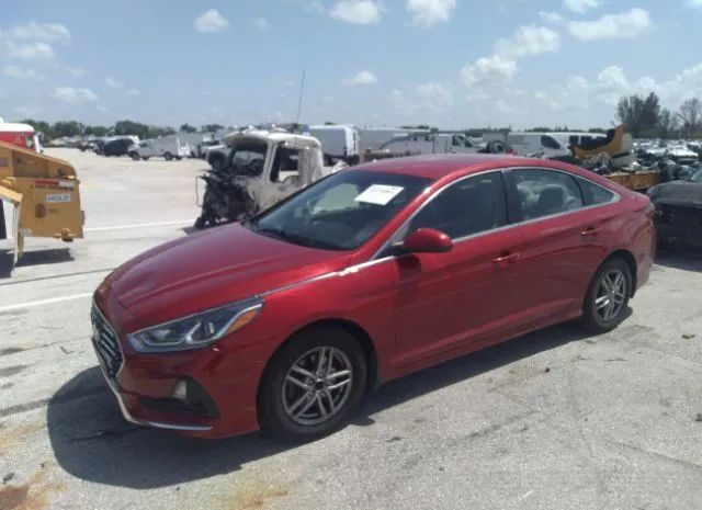 Photo 1 VIN: 5NPE24AF2KH805613 - HYUNDAI SONATA 