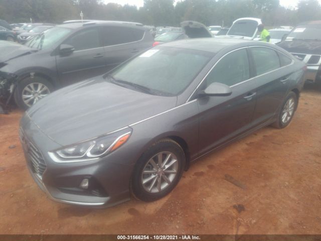 Photo 1 VIN: 5NPE24AF2KH806731 - HYUNDAI SONATA 