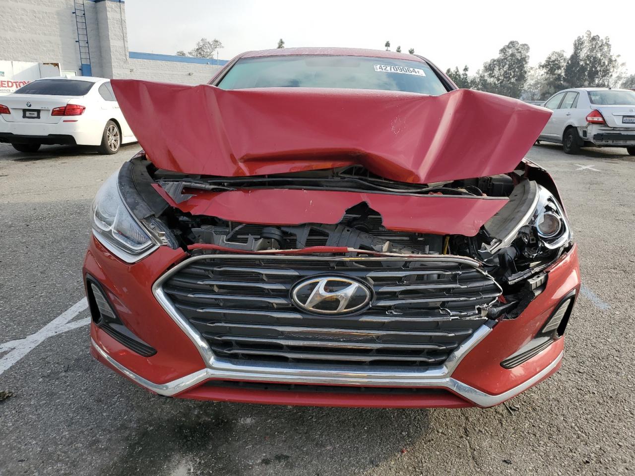 Photo 4 VIN: 5NPE24AF2KH807250 - HYUNDAI SONATA 