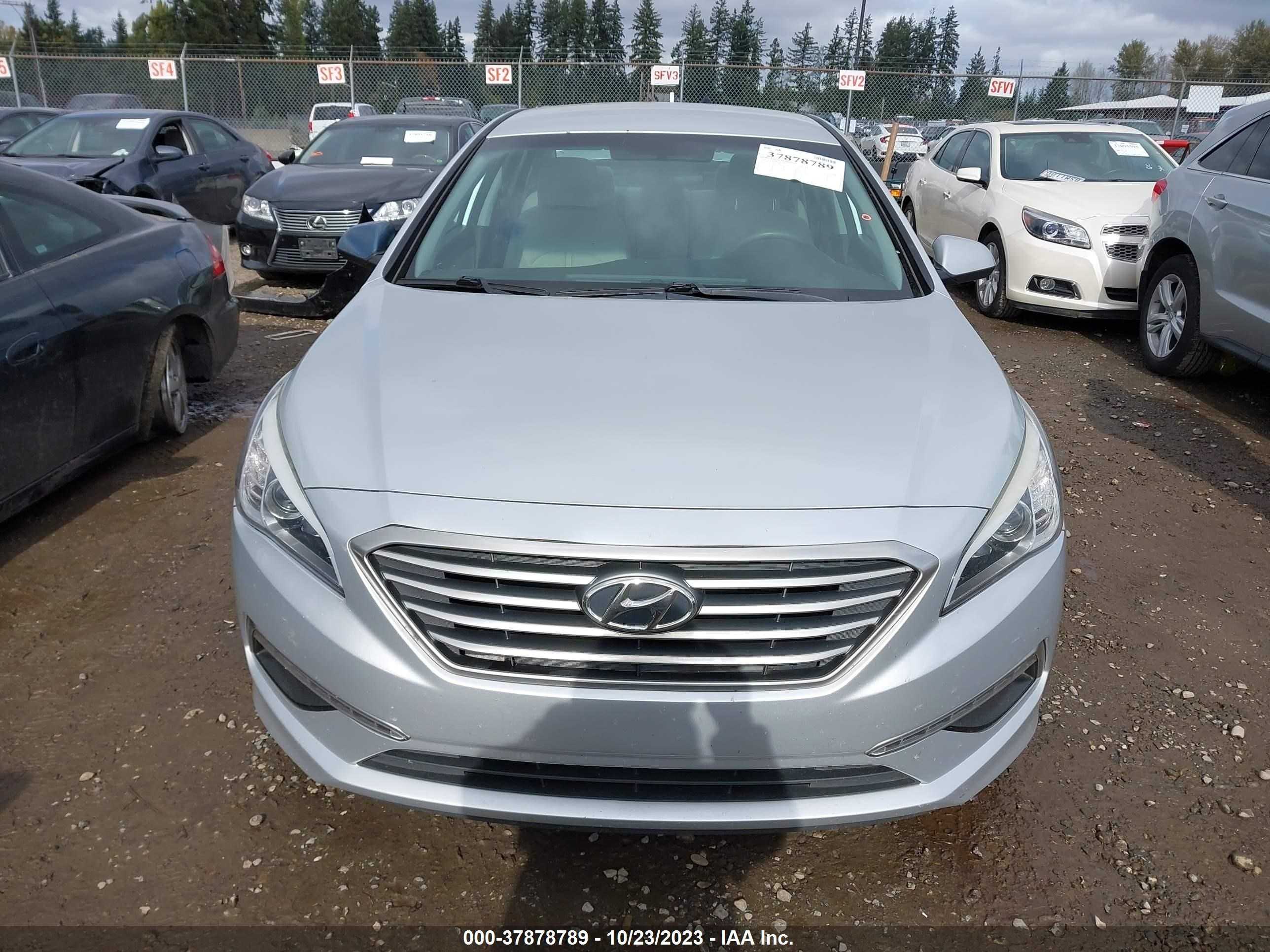 Photo 11 VIN: 5NPE24AF3FH091447 - HYUNDAI SONATA 