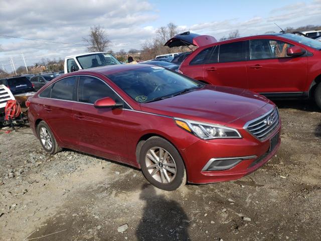 Photo 3 VIN: 5NPE24AF3GH263610 - HYUNDAI SONATA SE 