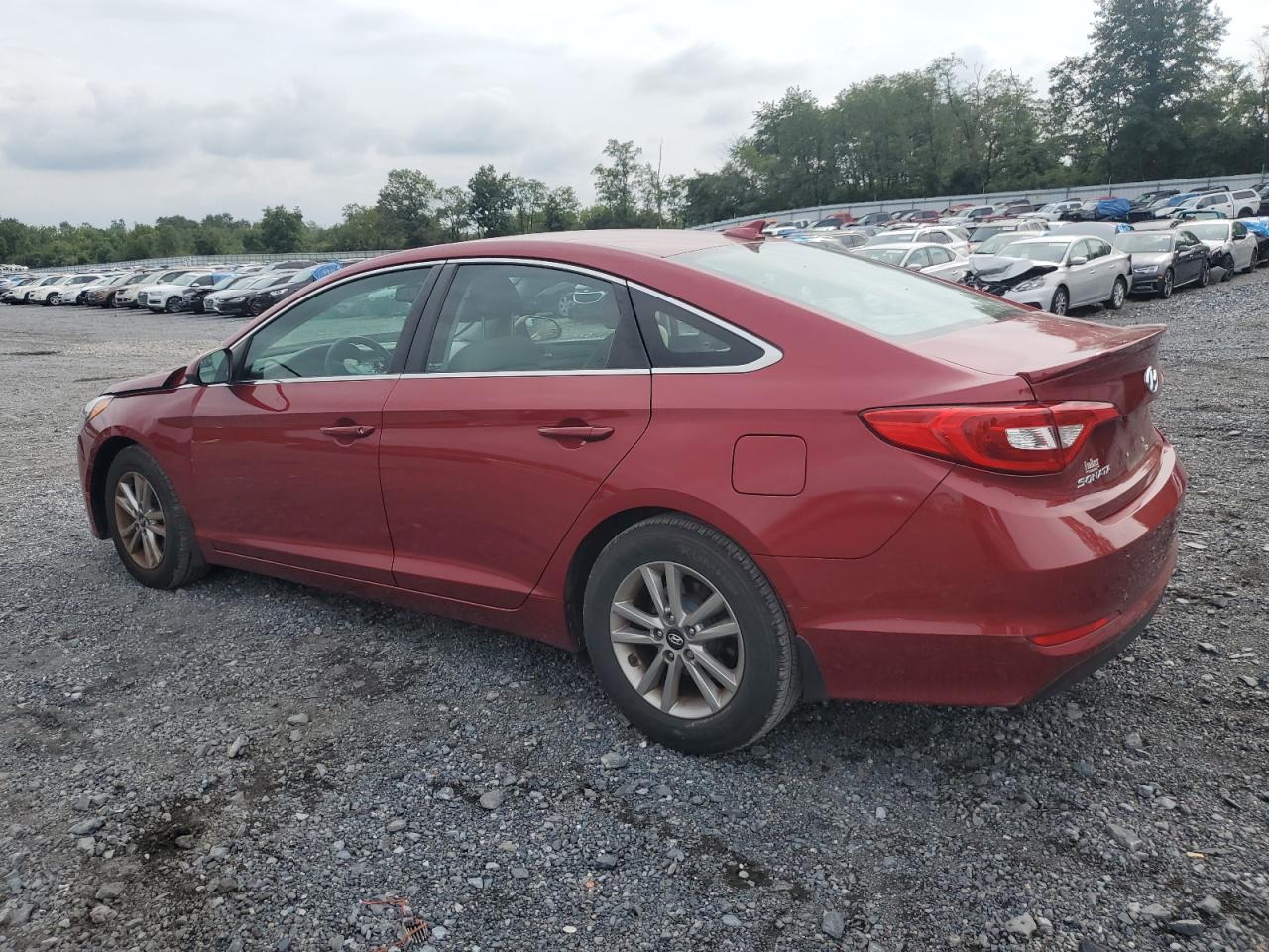 Photo 1 VIN: 5NPE24AF3GH293786 - HYUNDAI SONATA 