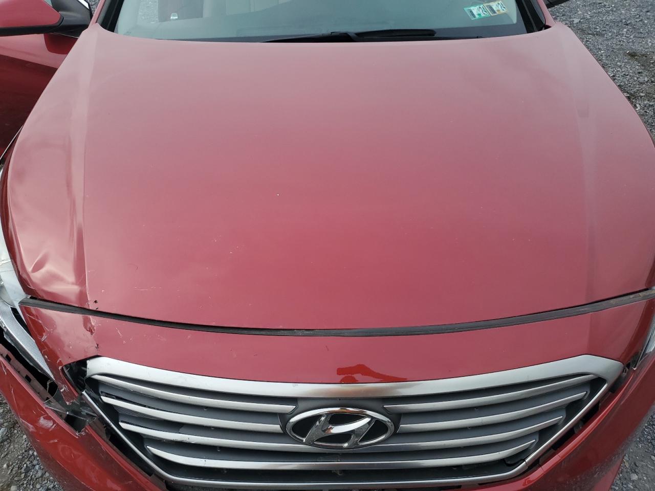 Photo 10 VIN: 5NPE24AF3GH293786 - HYUNDAI SONATA 