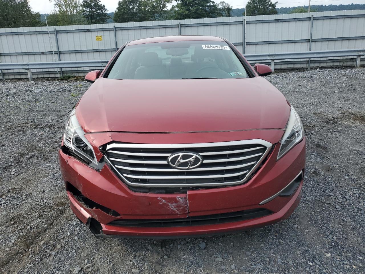 Photo 4 VIN: 5NPE24AF3GH293786 - HYUNDAI SONATA 